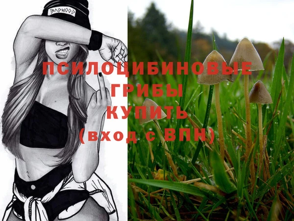 a pvp Абинск